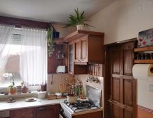 Výborná investícia - priestranný rodinný dom + autolakovnícku dieľňu + samostatný dvojpodlažný objekt s 2 apartmánmi v obci Nána pri Štúrove.